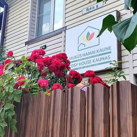 Savas 1 Mini And Parking 3*