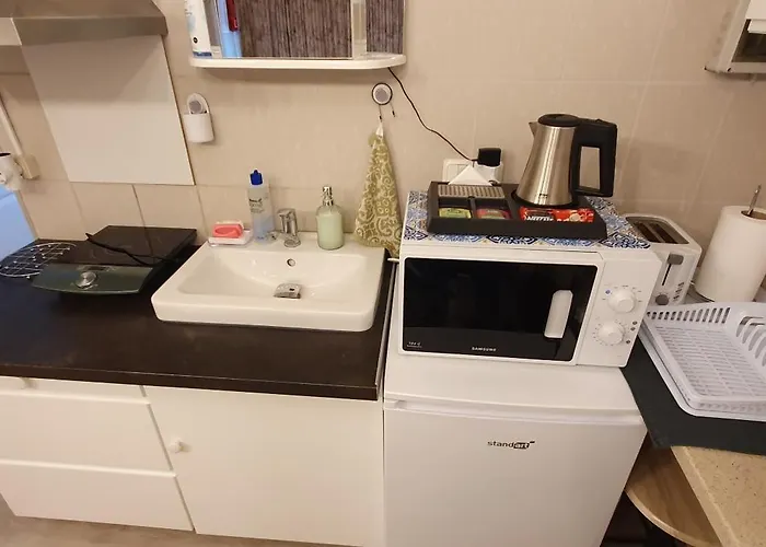 Savas 1 Mini And Parking 3* קובנה